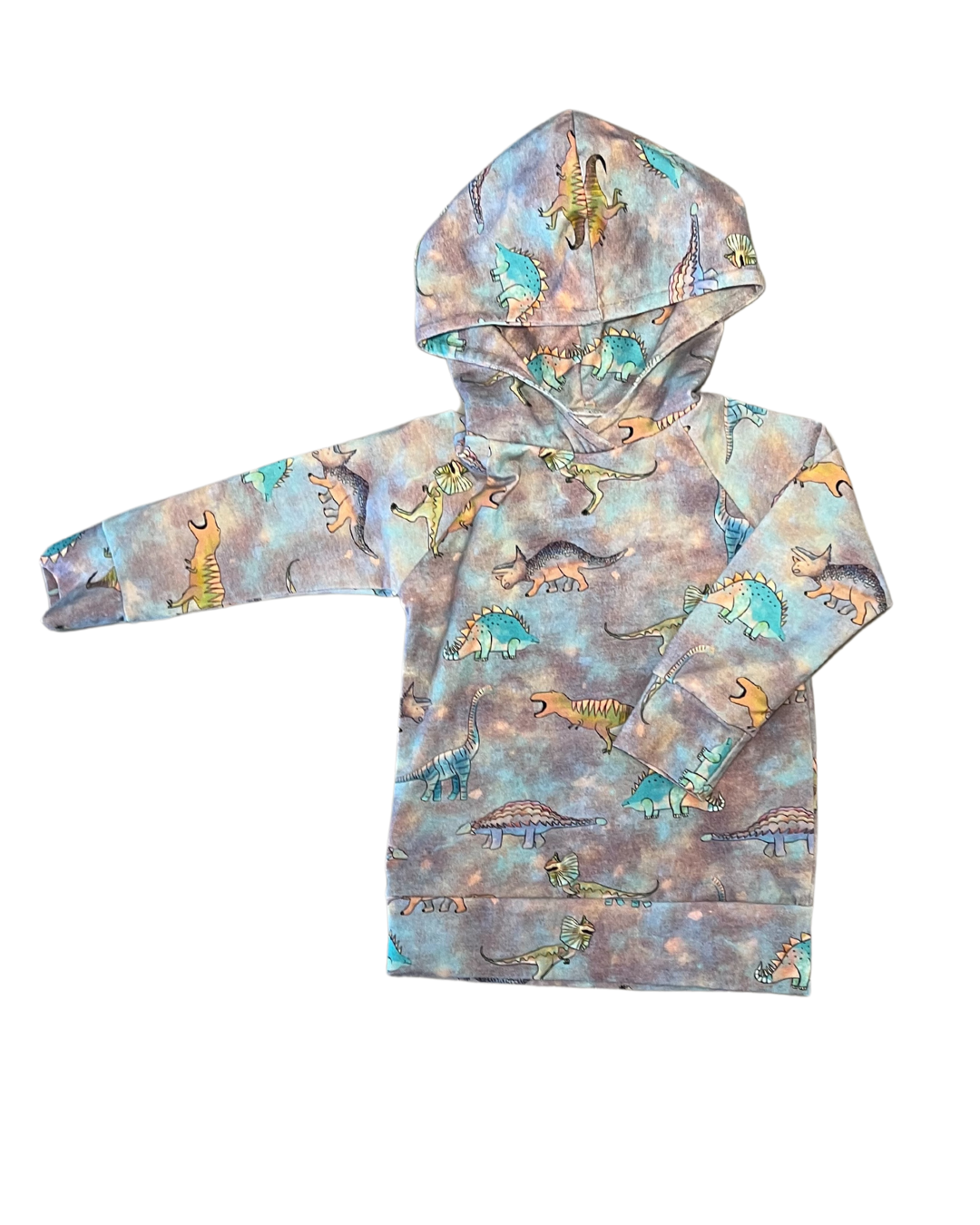 Dinosaur Hoodie